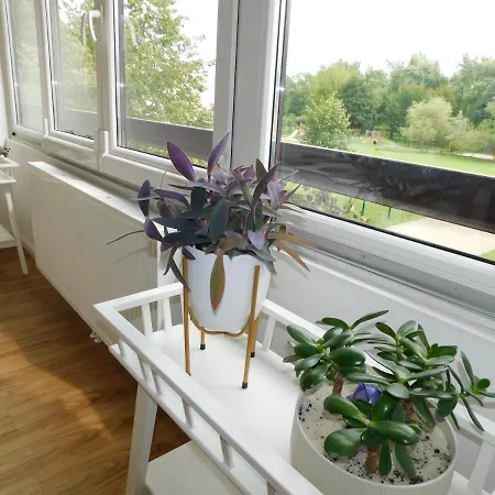 Zeleni Apartma Appartement