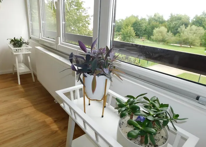 Zeleni Apartma 아파트